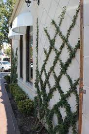 These funds allow trellis to provide services including housing counseling and homebuyer education, mortgages, down payment assistance, and technical support to small businesses. Creating A Diy Vine Trellis Young House Love
