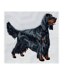 Image result for skotský setr gordonsetr
