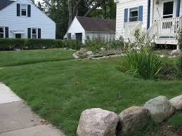 Grass alternatives beautifully bring form and function to any yard space. Grass Alternatives Buffalo Grass In Ann Arbor Creating Sustainable Landscapes