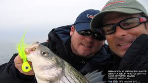 Lateral Line Launch Press Release