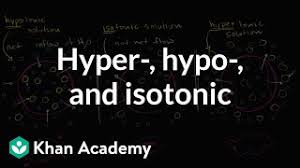 We did not find results for: Hypotonic Isotonic And Hypertonic Solutions Tonicity Video Khan Academy
