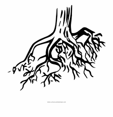 Tree Roots Coloring Page Tree Root Coloring Pages Transparent Png Download 1136865 Vippng We are always adding new ones, so make sure to come back and check us out or make a suggestion. tree roots coloring page tree root