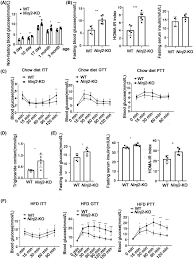 NINJ2 deficiency inhibits preadipocyte differentiation and promotes insulin  resistance through regulating insulin signaling - Peng - 2023 - Obesity -  Wiley Online Library