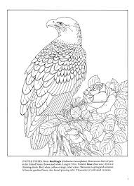In other words, use pride of place as a placemat. State Birds And Flowers Coloring Book Illustrated By Annika Bernhard 9780486264561 Christianbook Com