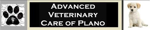 All members of the avcp team are highly experienced and trained to care for your pet with the same compassion and attention they would give to their own pets. Pet Care Services In Dallas Fortworth Pet Day Care Pet Sitting Services Doggy Day Care Home Pet Care Dog Day Care In Dallas Fortworth