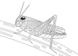 Keep your kids busy doing something fun and creative by printing out free coloring pages. Grasshopper Coloring Book Stock Vector Illustration Of Grin 42735195