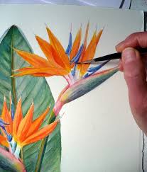 Bird Of Paradise Watercolor Tutorial Bird Of Paradise Botanical Painting Strelitzia Reginae Botanical Painting Paradise Painting Loose Watercolor Paintings
