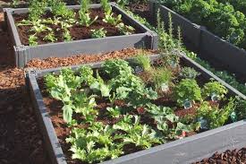 Plutôt que de chercher des solutions plus satisfaisantes à des problèmes reposant sur des données anciennes et contingentes. Carre Potager Recycle Ecologique Jardin Couvert