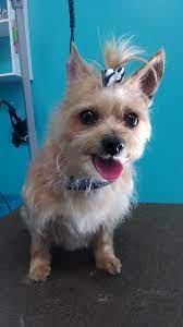Check spelling or type a new query. Longleaf Pet Retreat Home Facebook