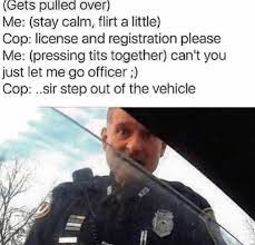 Thirty Five Dumb Memes To Get Your Weekend Going In 2021 Cops Humor Police Humor Really Funny