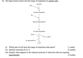 Check spelling or type a new query. B The Figure Below Shows The First Stage Of Chegg Com