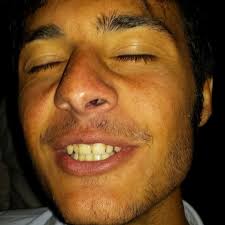 Sam che salamandra cose