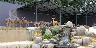 On top of that, the rare animals and birds in the beautiful natural landscape are set to change how visitors spend their leisure time as they stand a chance to relax and interact with. There S A New Recreational Park In Kl And Malaysians Can Enter For Free Until 13 April