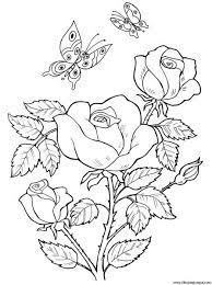 Pin On Para Colorear
