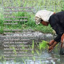 Kebutuhan air bisa hanya mengandalkan curah hujan saja. Ketika Kita Menanam Padi Rumput Pun Ikut Tumbuh Tetapi Ketika Kita Menanam Rumput Tidak Pernah Tumbuh Padi Dalam Kebaikan Yang Rumput Menanam Pengikut