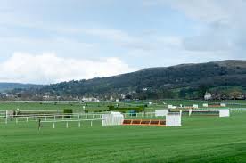 Последние твиты от cheltenham 2021 tips (@cheltenham2021). Cheltenham Festival 2021 Tips