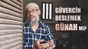 Guvercin Beslemek Gunah Mi Haci Bekir Antakya Youtube