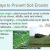 Prevent soil erosion on a hillside by planting a variety of vegetables, fruits and shrubs in the area to keep the soil from fall off the cliff. Https Encrypted Tbn0 Gstatic Com Images Q Tbn And9gcruflcwbc6ntzvwbubzeb2bvb8xm2iyd7vmuz8bggxqtegiqnye Usqp Cau