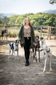 The dogs provides coverage of every greyhound race in every state. The Adoption Programs Saving Retired Greyhounds