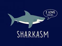 Shark, isolated, aquatic, outline, kill, jaw, tail, fin, aggression, sawshark, swim, bite, underwater, teeth, fear, furious, dangerous, predator, sketch, horror, death, hunt, bull, sea, deadly, danger, silhouette, wild, hammerhead, fish, scary, animal, great white shark, chalk drawn shark. Sharkasm Vector T Shirt Design For Commercial Use Buy T Shirt Designs