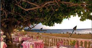 Hau Tree Lanai Restaurant New Otani Kaimana Beach Hotel Kaimana Beach Hotel Hawaii Adventures Lanai