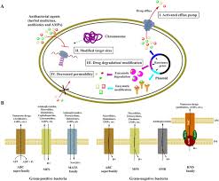 Image result for Antimicrobial Agent