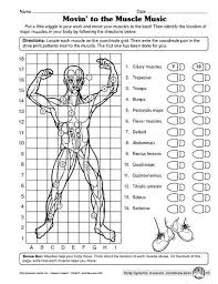 Science Worksheet Muscular System The Mailbox Human Body Worksheets Human Body Systems Human Body Lesson