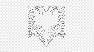We offer various expressions and variations of the flag of kosovo. Flag Of Albania Albanian Flag Of Kosovo Flag Angle White Flag Png Pngwing