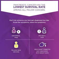 Pin On Pancreatic Cancer