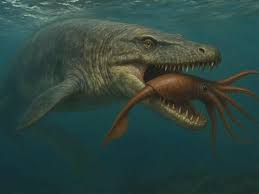 Image result for pokoutnik st job 