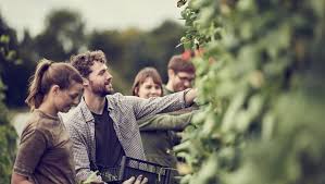 Yoni Cohen Directeur De Maison Colom Grossiste En Fruits Et Legumes A Rungis Et Fournisseur De Grandes Tables Parisiennes