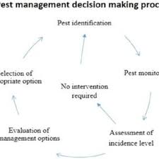 Integrated pest management refers to the process of resolving pest problems while minimizing the risks of people and environment at the same time. Pdf Ict Based Decision Support Systems For Integrated Pest Management Ipm In India A Review
