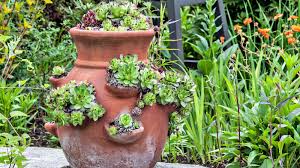 This can be peat moss, or if in a pinch the stuffing from a clean dipper, which contains a substance, that holds water. How To Plant A Strawberry Pot