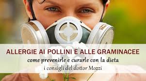 Quali sono gli alimenti da evitare. Allergia Ai Pollini Ed Alle Graminacee Come Curarla Con La Dieta Del Dott Mozzi