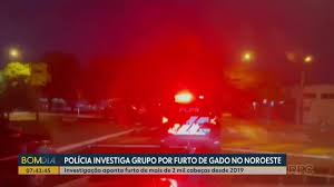 Polícia mira organização criminosa ligada a furto de gado no Noroeste do Paraná