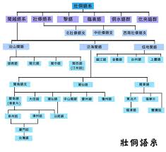 真壯侗語系譜系樹 diagram periodic table floor plans