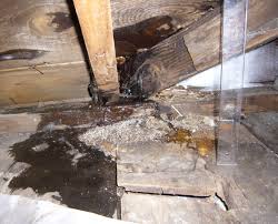 Maybe you would like to learn more about one of these? How To Check Your Roof For Leaks Before The Rainy Season Bay Area Roofing Solar