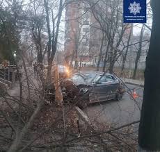 Состояние мэра харькова геннадия кернеса ухудшилось, у него полностью отказала вторая. V Harkove Pyanyj Voditel Na Audi Snes Derevo Novosti Harkova Glavnoe