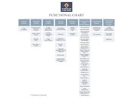 Functional Chart Al Faisal Holding