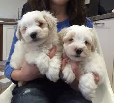 Maybe you would like to learn more about one of these? Pin On Animals