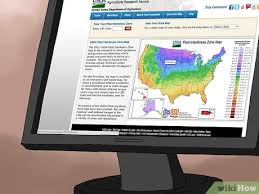 Each plant type has its own designated knowing the different plant hardiness zones is essential to the health of your gardening venture. How To Understand Plant Hardiness Zones 9 Steps With Pictures