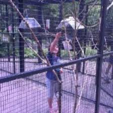 Follow our guide doing the zoo with kids! Camel Rides Picture Of John Ball Zoo Grand Rapids Tripadvisor