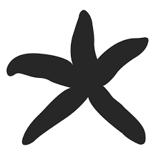 Starfish Silhouette Ad Affiliate Affiliate Silhouette Starfish Png Silhouette Png Starfish