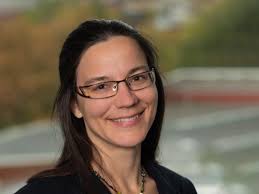 Production scientifique des professeurs