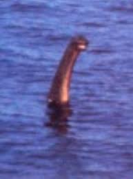 In 1933, nessie crossed the road in front of someone's bicycle. Loch Ness 5 Fakten Zum Mythos Nessie News At