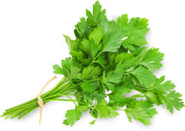 Fue apreciada por los griegos y después por los romanos. Download Perejil Cont Parsley Png Image With No Background Pngkey Com