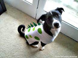 Diy Doggie Halloween Costume Dog Clothes Diy Diy Dog Stuff Dog Halloween Costumes Diy