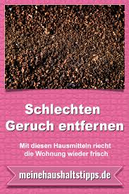 Schlechten Geruch Entfernen Mit Diesen Hausmitteln Riecht Ihre Wohnung Wieder Frisch Meine Haushaltstipps Geruch Entfernen Geruch Hausmittel