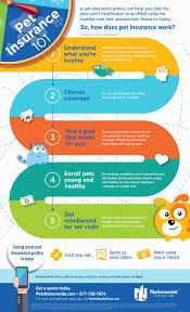 How to make a pet insurance claim. The Pet Gazette