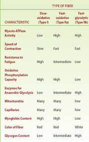 Associate Degree Nursing Physiology Review Anatomy And Physiology Exercise Physiology Physiology